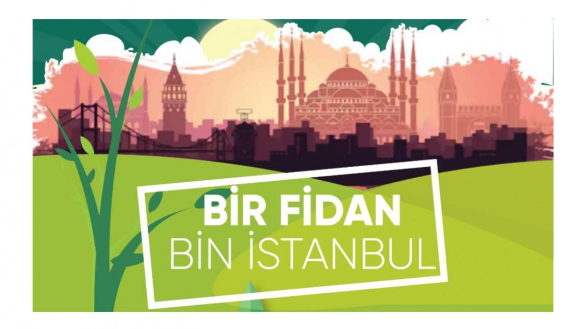 Bir Fidan Bin İstanbul